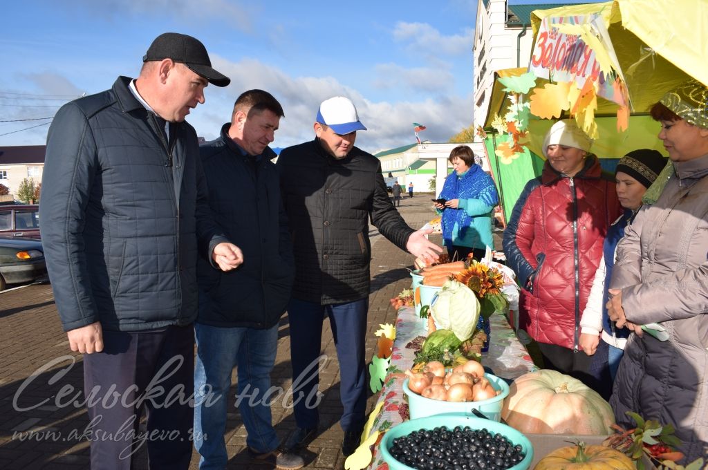 Аксубаевцы пополнили запасы на сельхозярмарке