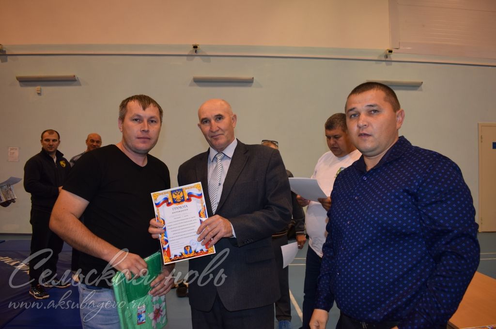 Аксубаевские борцы соревновались в честь Дня работников АПК