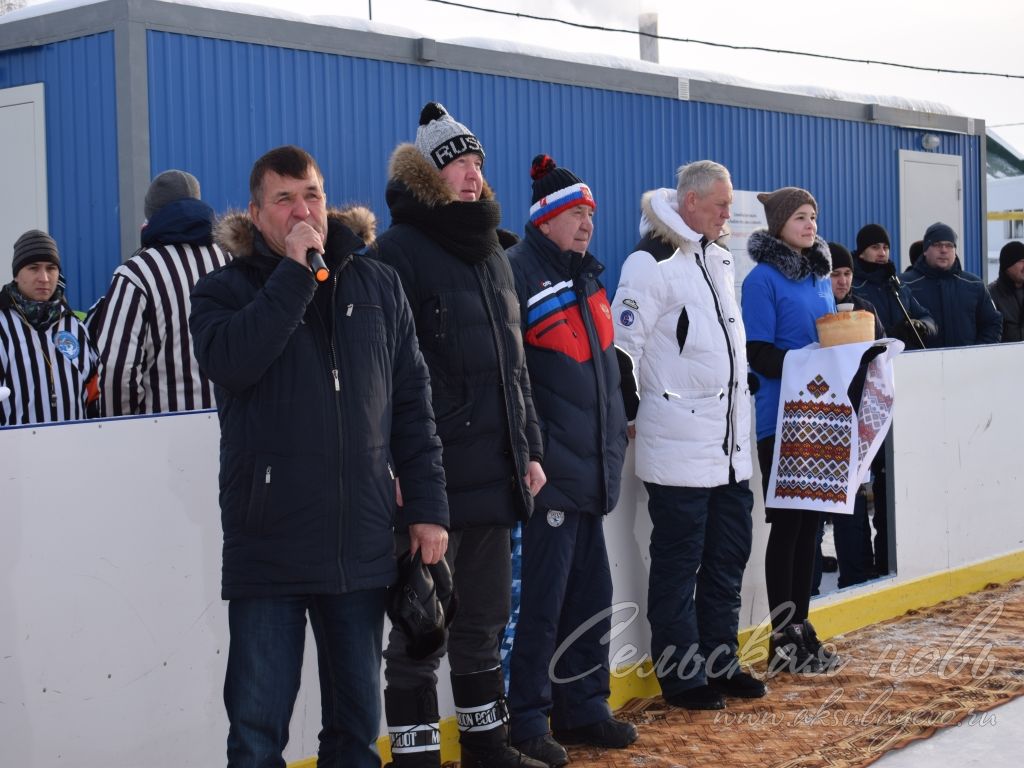 Федерация хоккея Татарстана проводит в Аксубаеве семейный праздник