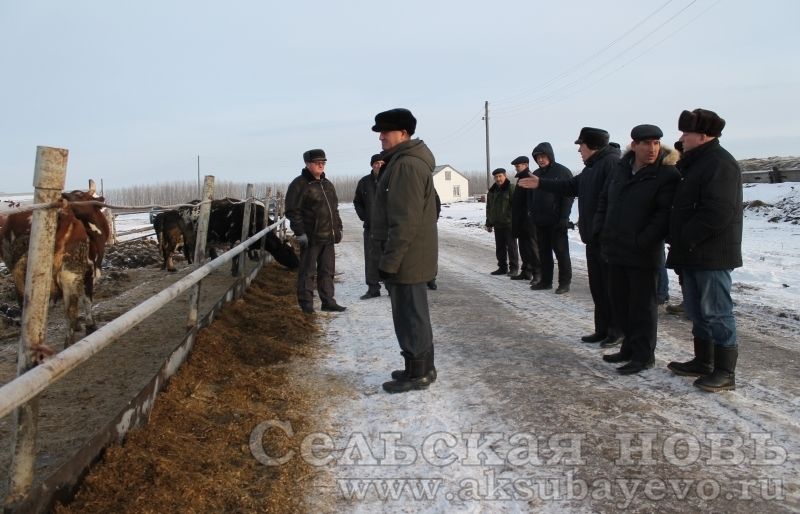События и факты года 2015 в Аксубаевском районе: Сельское хозяйство