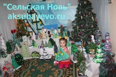 В Аксубаевском краеведческом музее подвели итоги конкурса «Новогодняя красавица»