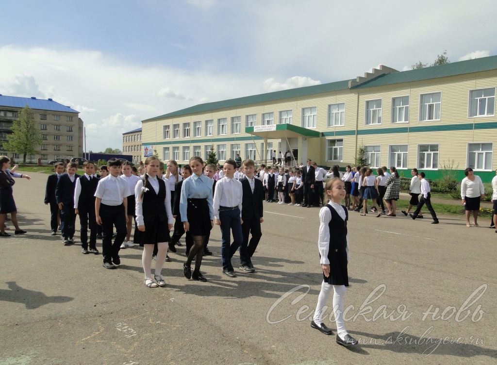 Аксубаевцы День общественных организаций отметили в строю и с песней