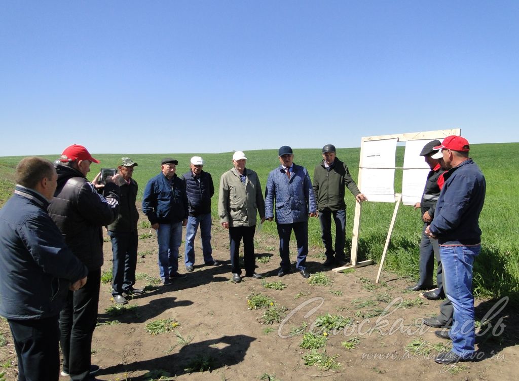Аксубаевские полеводы обсудили вопросы по защите посевов