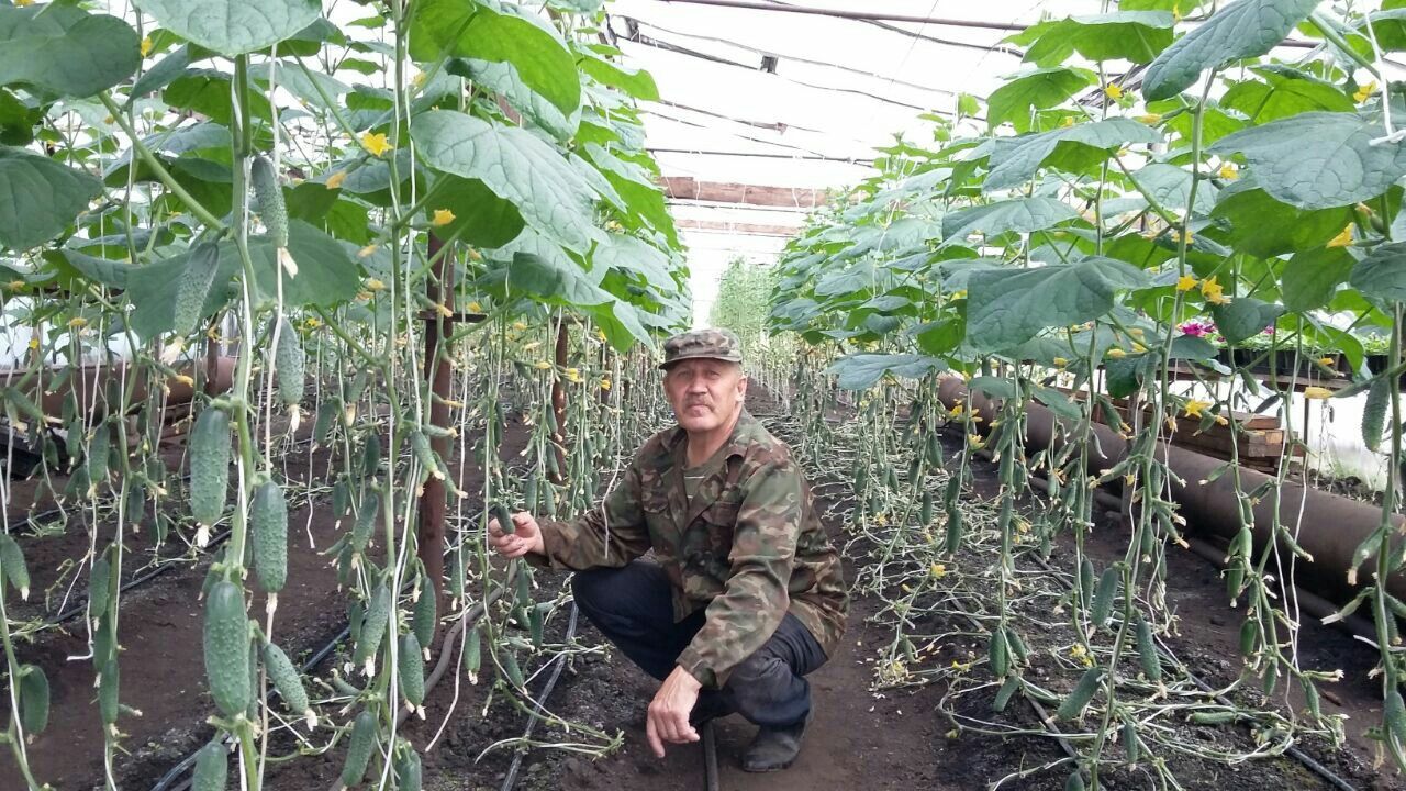 Сельхозбизнес Аксубаева – для избранных