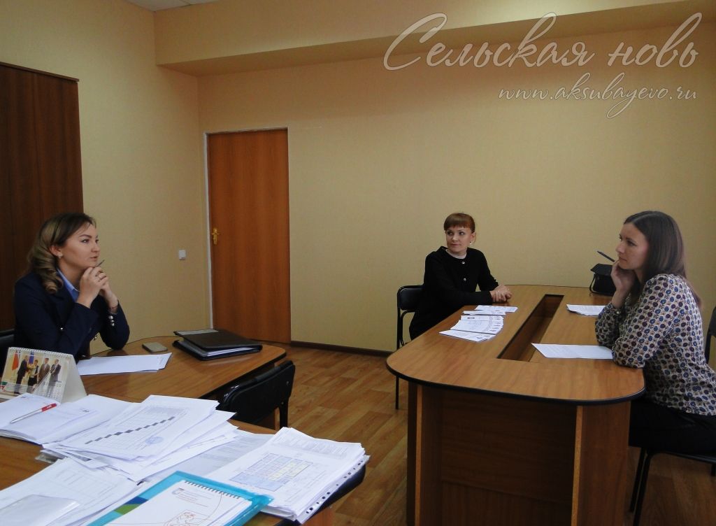 Организацию бизнеса в Аксубаеве оценили представители УФАС