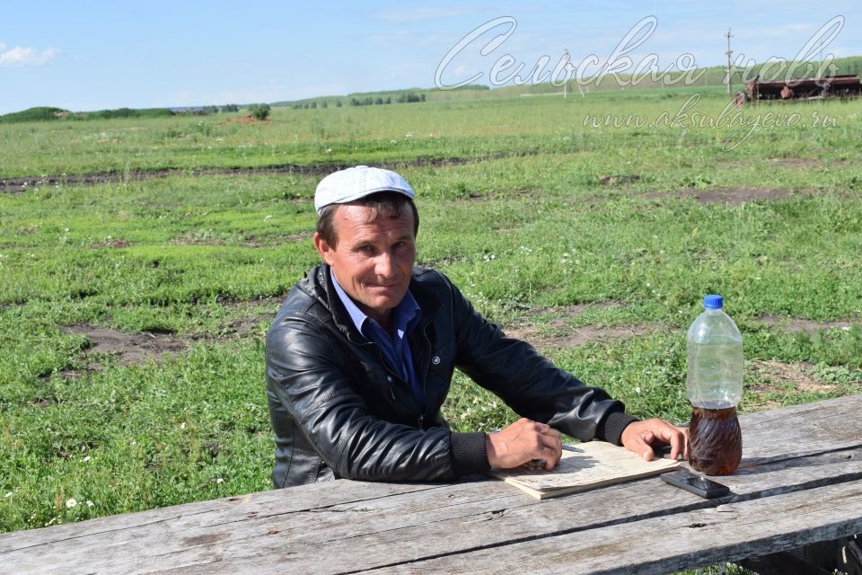 Кормопроизводители Аксубаевского района работают с душой