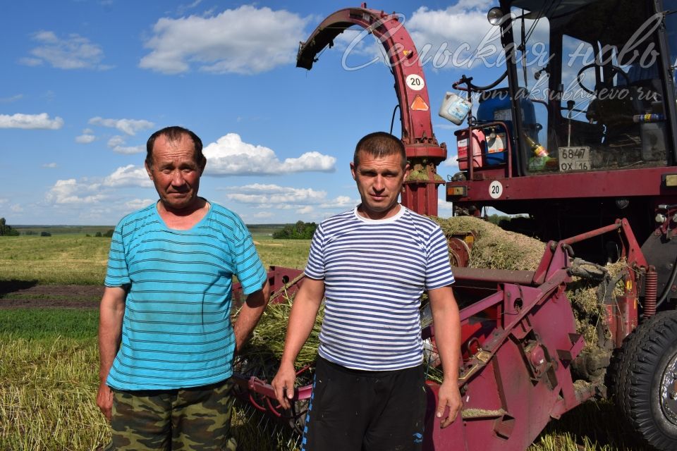 Кормопроизводители Аксубаевского района работают с душой
