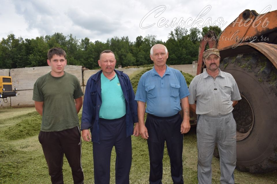 В фермах Аксубаевского района запаса кормов должно быть достаточно