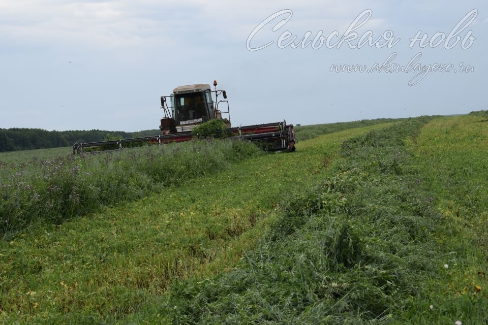 В фермах Аксубаевского района запаса кормов должно быть достаточно