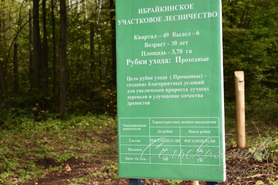 В Аксубаеве решали, как успешно вести дела в лесу