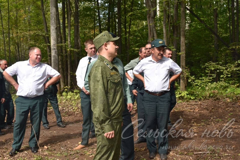 В Аксубаеве решали, как успешно вести дела в лесу