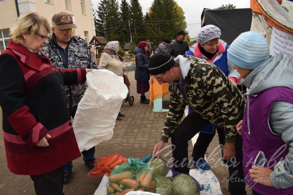 Аксубаевцы запаслись урожаем на сельхозярмарке
