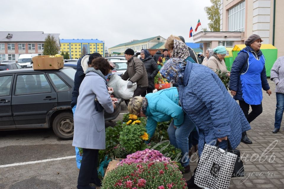 Аксубаевцы запаслись урожаем на сельхозярмарке