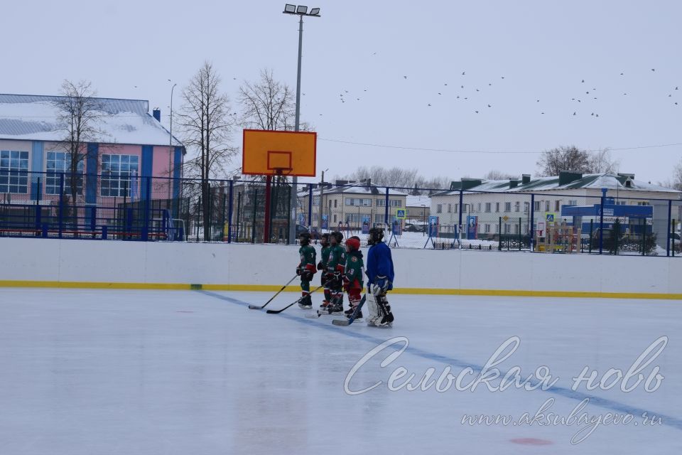 В Аксубаеве состоялось открытие хоккейного сезона