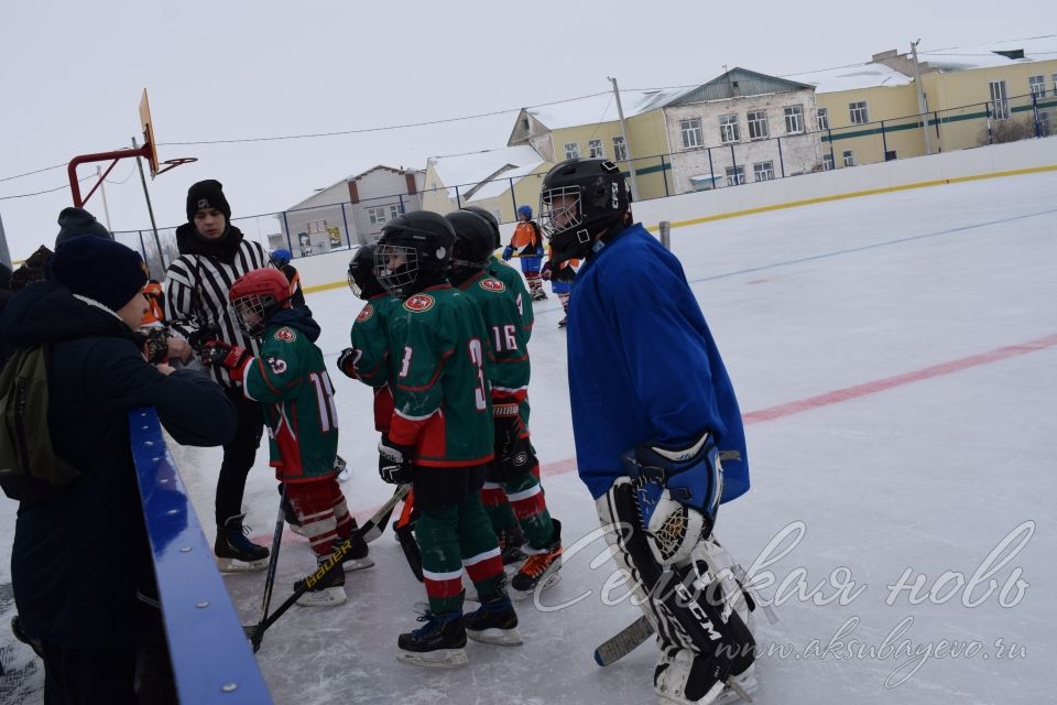 В Аксубаеве состоялось открытие хоккейного сезона