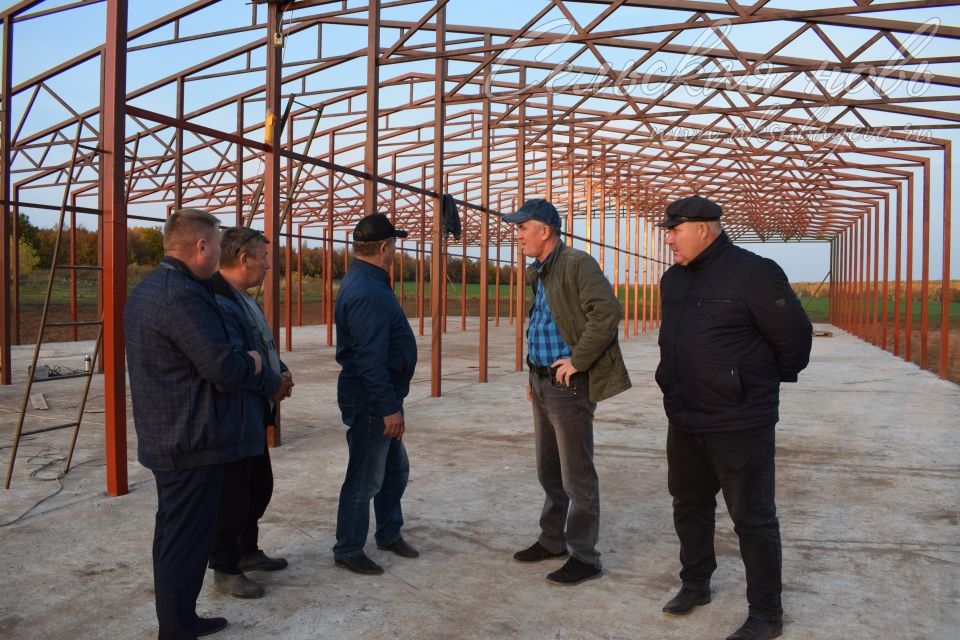 В Аксубаевском районе решают, как повысить продуктивность скота и урожайность полей