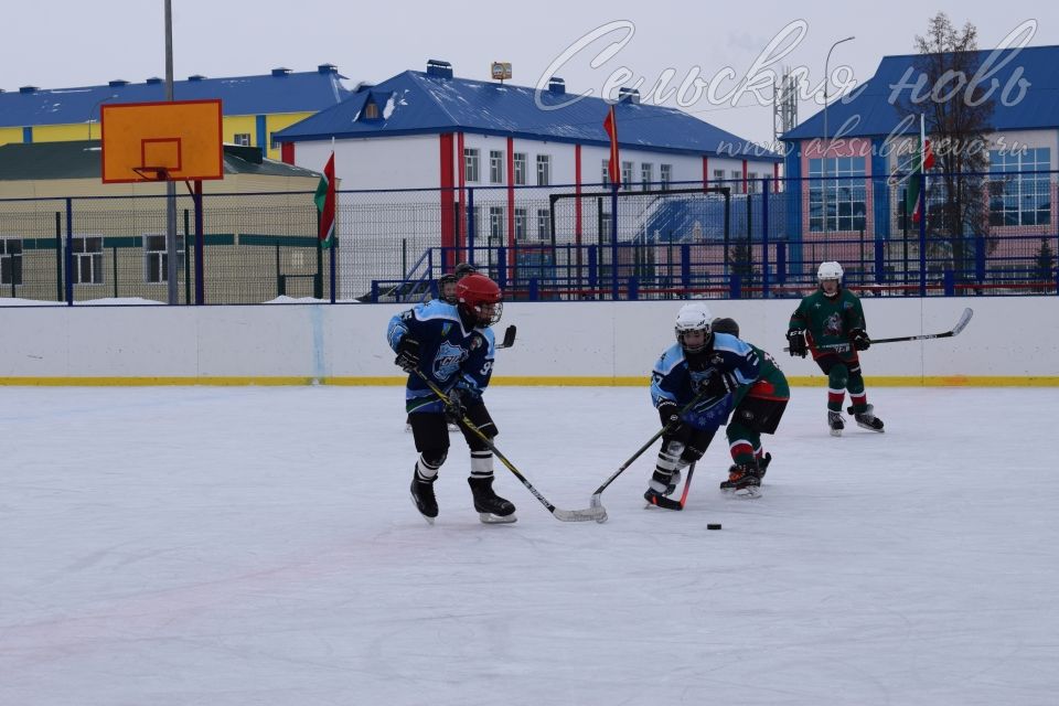 Аксубай хоккейчылары «алтын» кубок отты