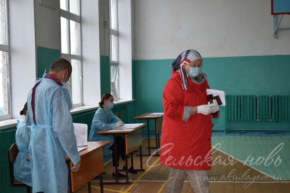 Глава Аксубаевского района проголосовал за поправки к Конституции РФ