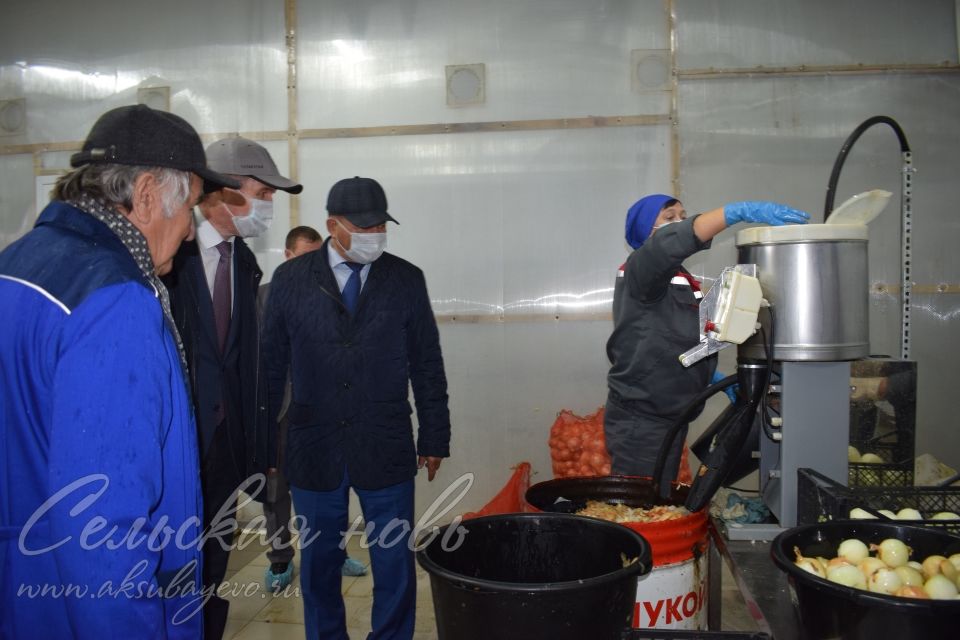 Министр экономики РТ побывал в селе Старое Мокшино на предприятии по выращиванию грибов