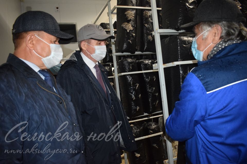 Министр экономики РТ побывал в селе Старое Мокшино на предприятии по выращиванию грибов