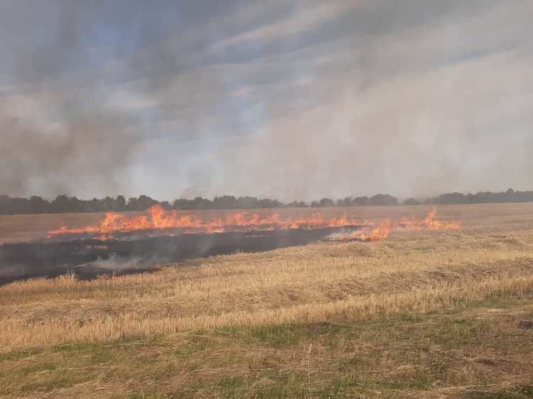 Пожарные тушили горящую траву на поле в Алексеевском районе РТ