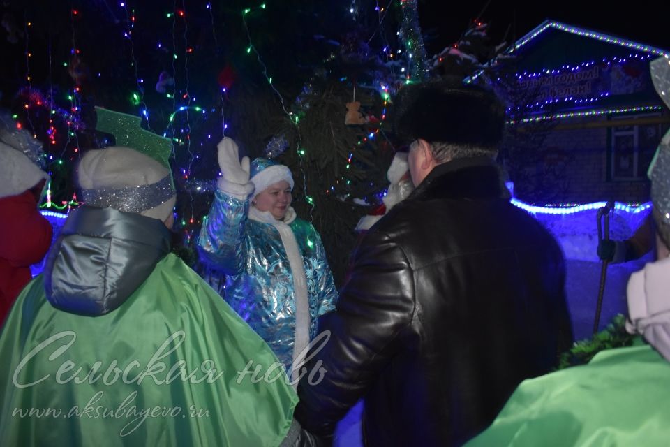 Республиканские гости оценили новогоднее оформление на родине Хасана Туфана