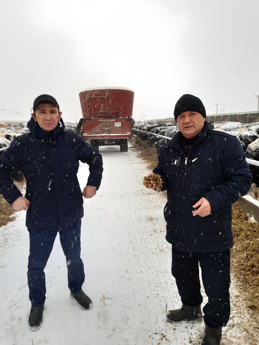 Без каникул: глава Аксубаевского района объезжает животноводческие фермы и встречается с животноводами
