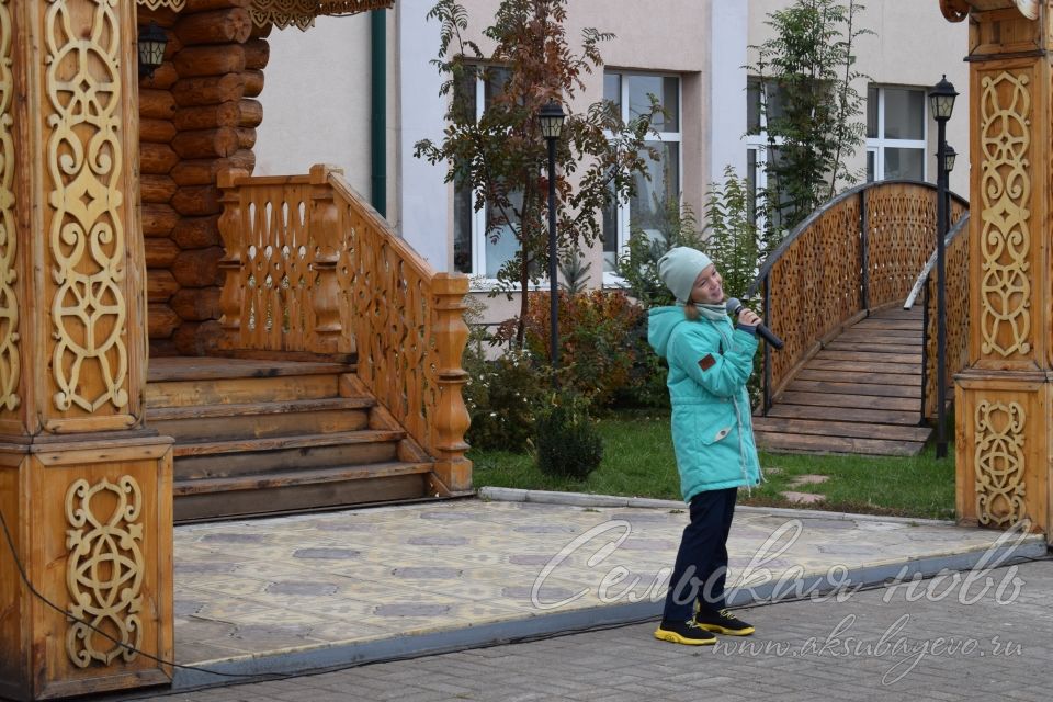 В Аксубаеве отметили день людей «золотого» возраста