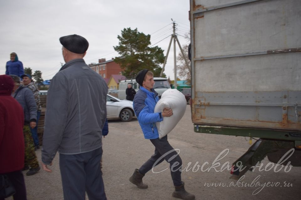 Сельхозярмарка в Аксубаеве собрала весь район