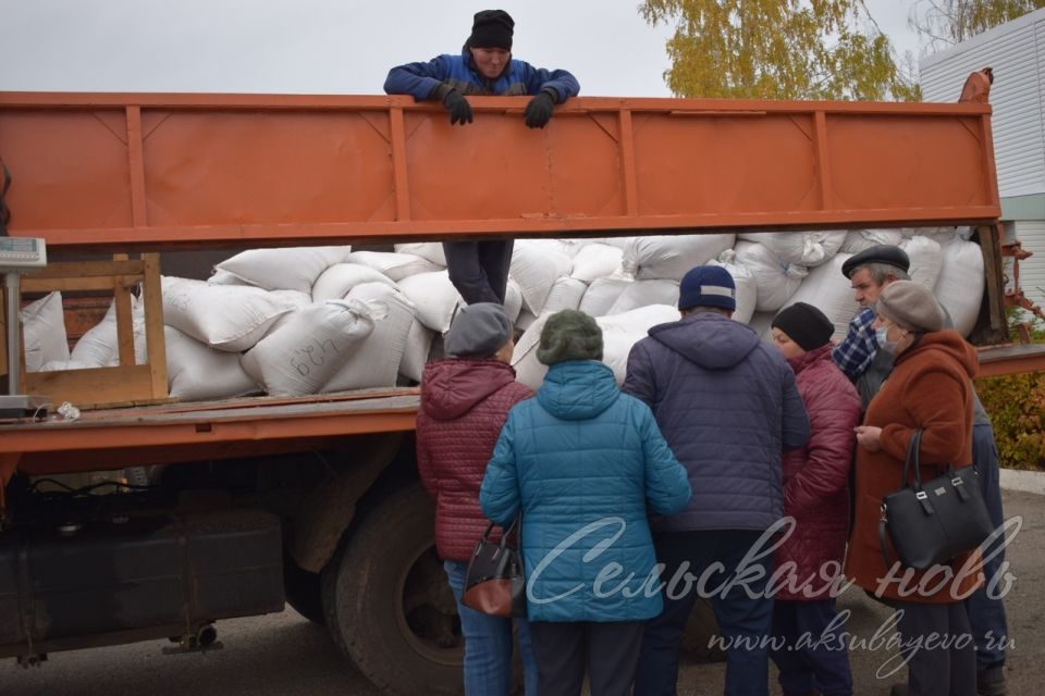 Сельхозярмарка в Аксубаеве собрала весь район