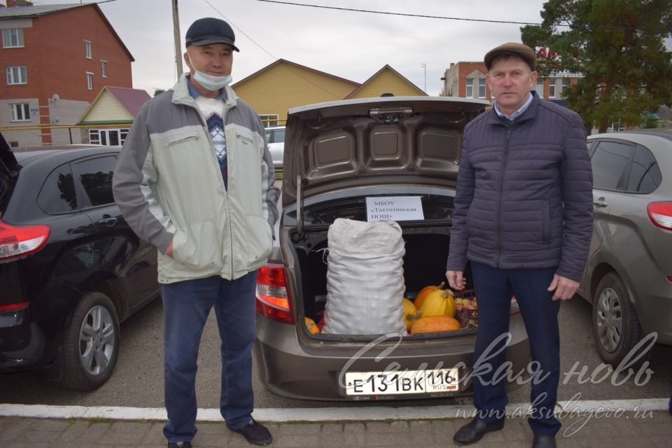 Сельхозярмарка в Аксубаеве собрала весь район