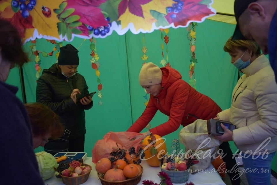 Сельхозярмарка в Аксубаеве собрала весь район