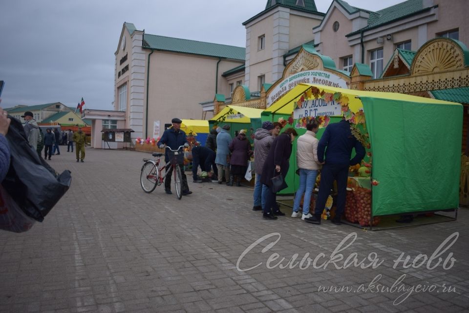 Сельхозярмарка в Аксубаеве собрала весь район