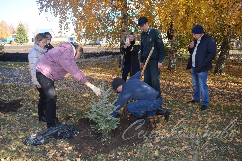 Члены Аксубаевского школьного лесничества провели акцию «Сохраним лес»
