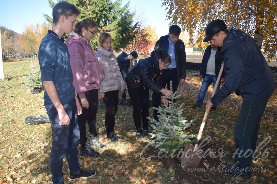 Члены Аксубаевского школьного лесничества провели акцию «Сохраним лес»