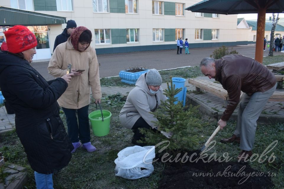 Аксубаевские медики провели акцию «Здоровый лес - здоровые люди»