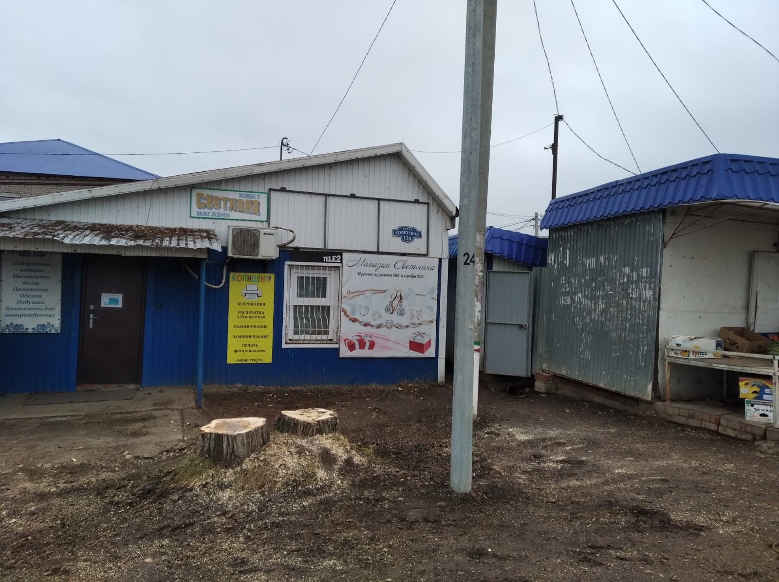 Вопрос со старыми тополями в Аксубаеве закроют в 2022 году