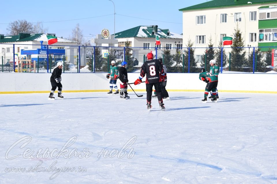 Аксубаевские хоккеисты выиграли Первенство РТ по хоккею среди мужских команд
