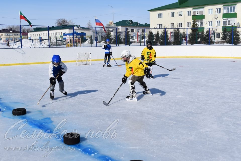 В Аксубаеве проходит районный фестиваль «Люблю папу, маму и хоккей»