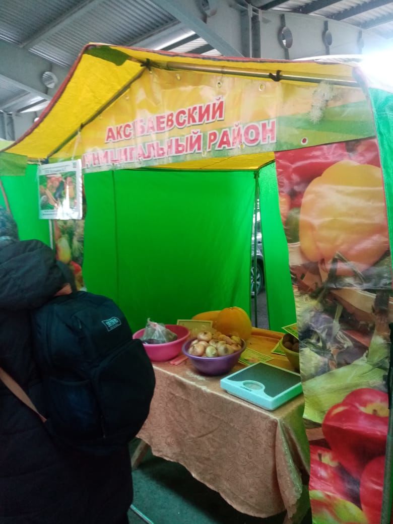 Аксубаевцы порадовали казанцев сельхозпродуктами