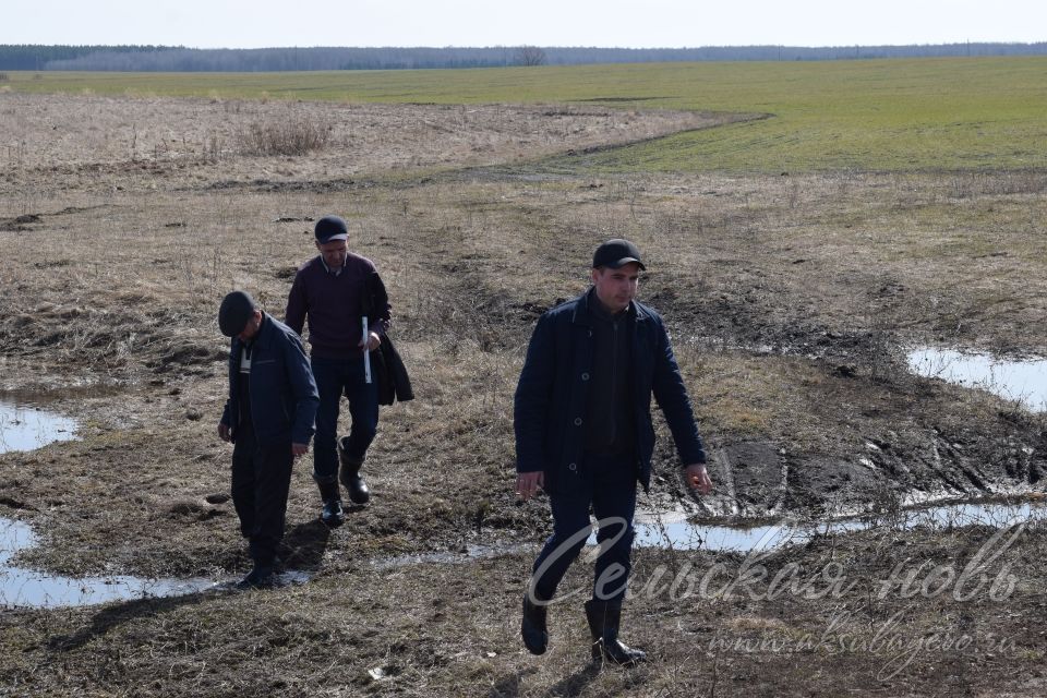 Специалисты Аксубаевского УСХиП и Россельхозцентра: «Озимые перезимовали благополучно»