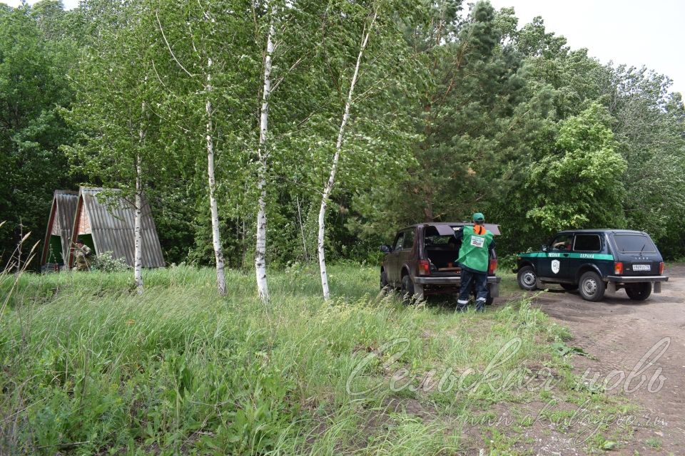 Привели участок Аксубаевского лесничества в полный порядок