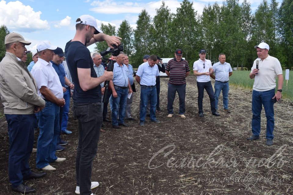 На аксубаевском поле инвесторы со всей республики решали судьбу урожая