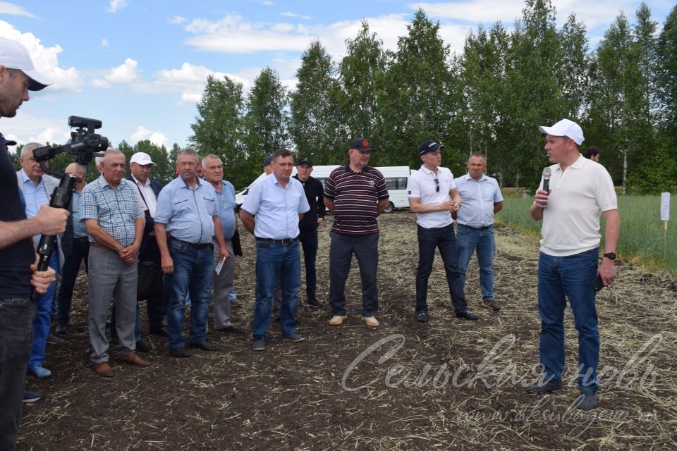 На аксубаевском поле инвесторы со всей республики решали судьбу урожая