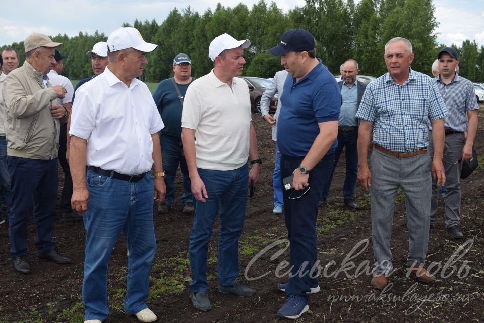 На аксубаевском поле инвесторы со всей республики решали судьбу урожая