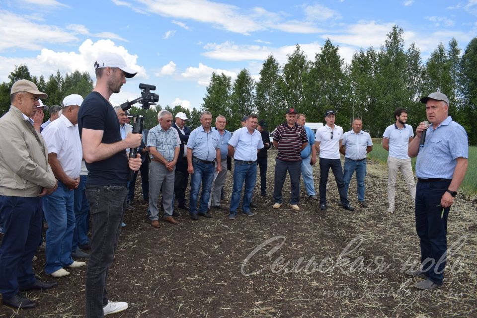 Аксубай кырында бөтен республикадан килгән инвесторлар уңыш язмышын хәл иттеләр