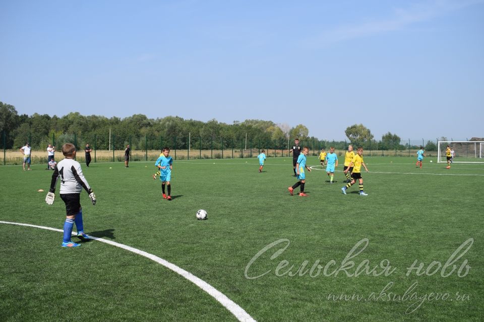 Аксубаевские спортсмены набрались опыта на Первенстве республики