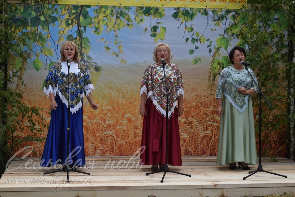 Деревня Новая Баланда в Аксубаевском районе отметила 100-летний юбилей