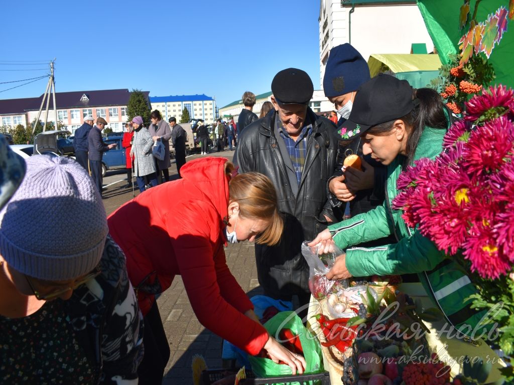 Аксубаевцы пополнили зимние запасы на сельхозярмарке