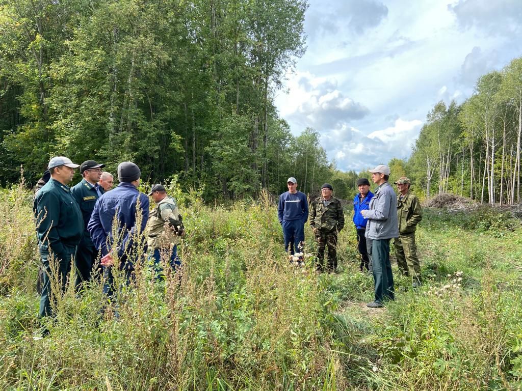 Аксубаевские лесоводы подводят итоги работы на семинарах
